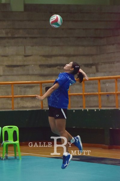 20251118-volleyballl-PM-T124.jpeg