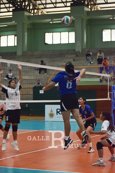 20251118-volleyballl-PM-T125.jpeg