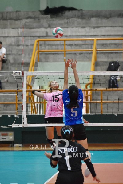 20251118-volleyballl-PM-T156.jpeg