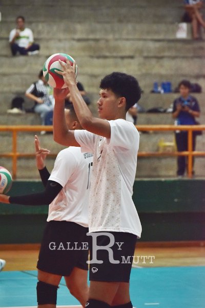 20251118-volleyballl-PM-T98.jpeg