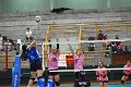 20251118-volleyballl-PM-121