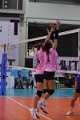 20251118-volleyballl-PM-T162