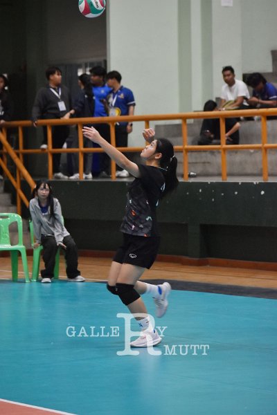 20251119-volleyball-PM-150.jpeg