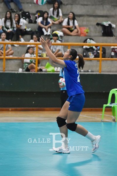 20251120-volleyballl-PM-150.jpeg