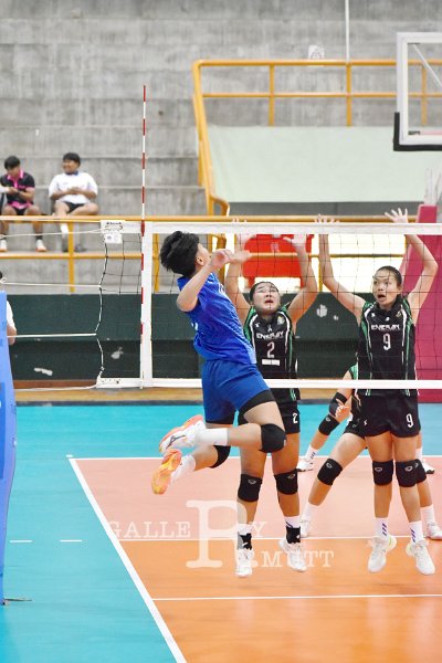 20251120-volleyballl-PM-155.jpeg