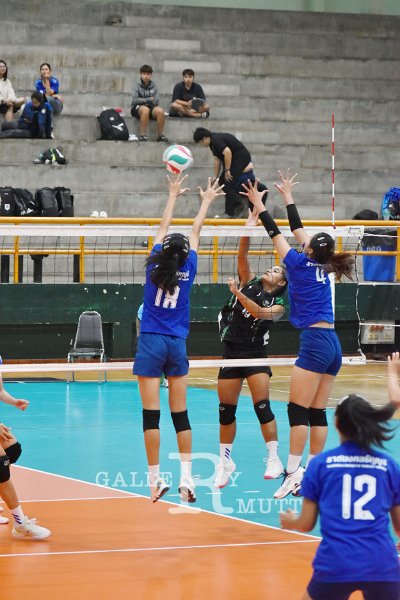 20251120-volleyballl-PM-156.jpeg