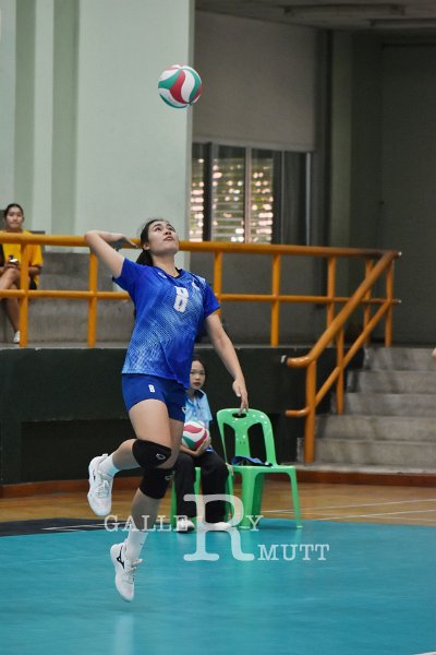 20251120-volleyballl-PM-173.jpeg