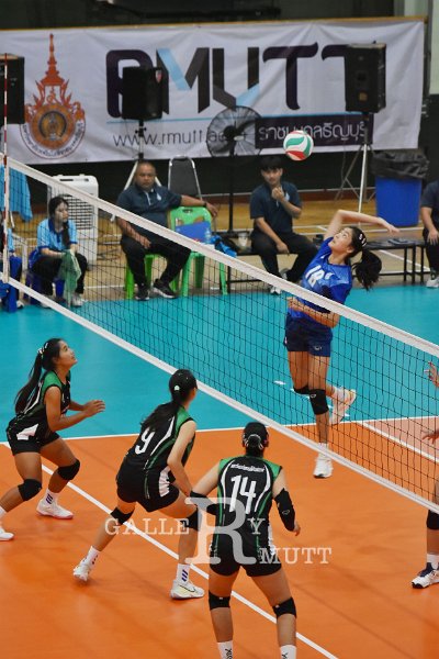 20251120-volleyballl-PM-188.jpeg