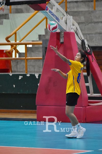20251120-volleyballl-PM-99.jpeg